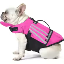 MyPawy dogs chin float life jacket